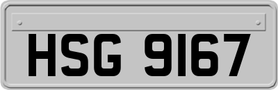 HSG9167