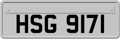 HSG9171