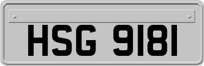 HSG9181