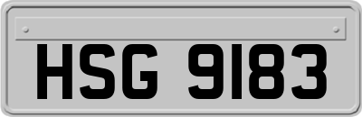 HSG9183