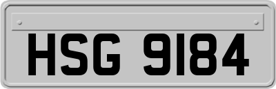 HSG9184