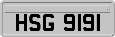 HSG9191
