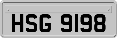 HSG9198