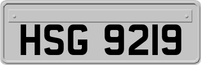 HSG9219