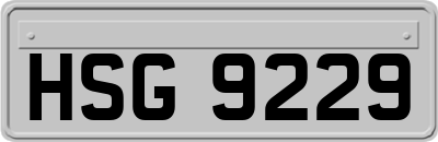 HSG9229