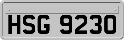 HSG9230