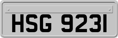 HSG9231