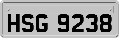 HSG9238