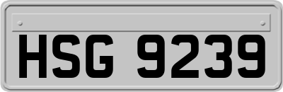 HSG9239