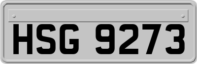 HSG9273