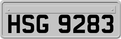HSG9283