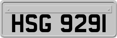 HSG9291
