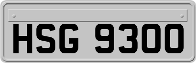 HSG9300