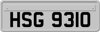 HSG9310