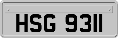 HSG9311