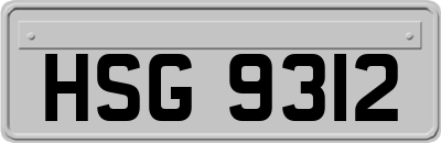 HSG9312