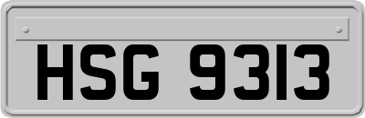HSG9313