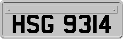 HSG9314