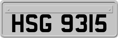 HSG9315