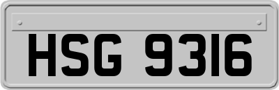 HSG9316
