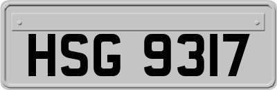 HSG9317