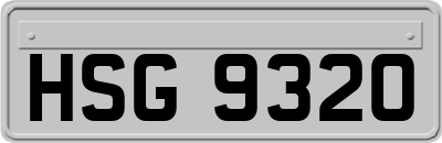 HSG9320