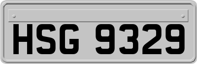 HSG9329