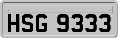 HSG9333
