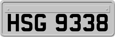 HSG9338