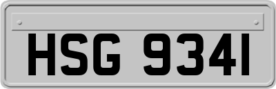 HSG9341