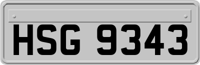 HSG9343