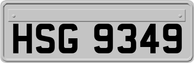 HSG9349