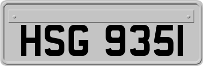 HSG9351