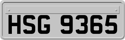 HSG9365