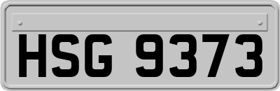 HSG9373
