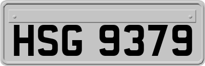 HSG9379
