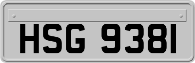 HSG9381