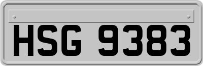 HSG9383