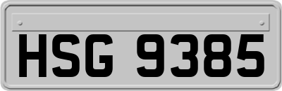 HSG9385