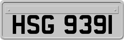 HSG9391