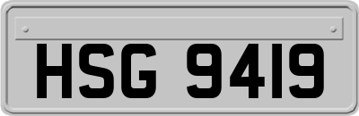 HSG9419