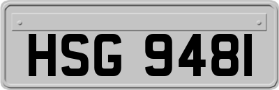 HSG9481