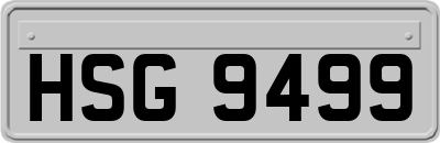 HSG9499