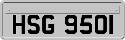 HSG9501