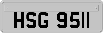 HSG9511