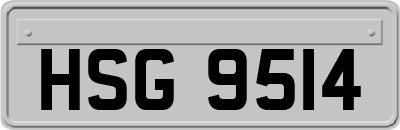 HSG9514