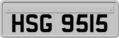 HSG9515