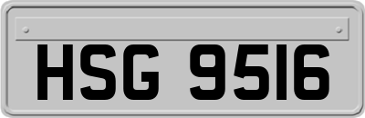 HSG9516