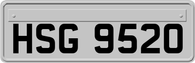 HSG9520