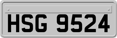 HSG9524